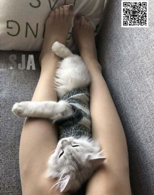 ova女士官在线观看_超清免费播放