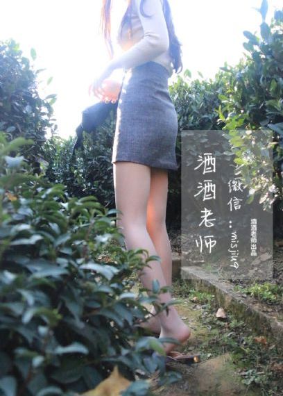 在线观看沧元图_免VIP免费在线观看