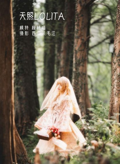 苗翠花与李小环_国产剧视频大全